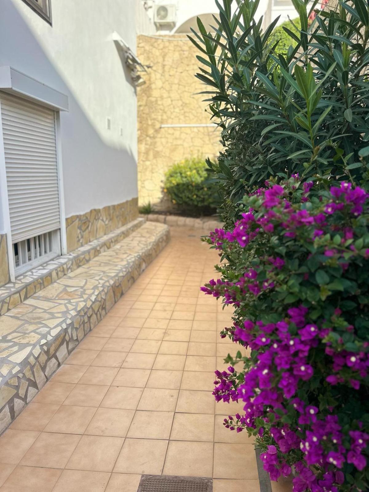 Sunny Sea View Apartment Center Of Las Americas Playa de las Americas  Luaran gambar