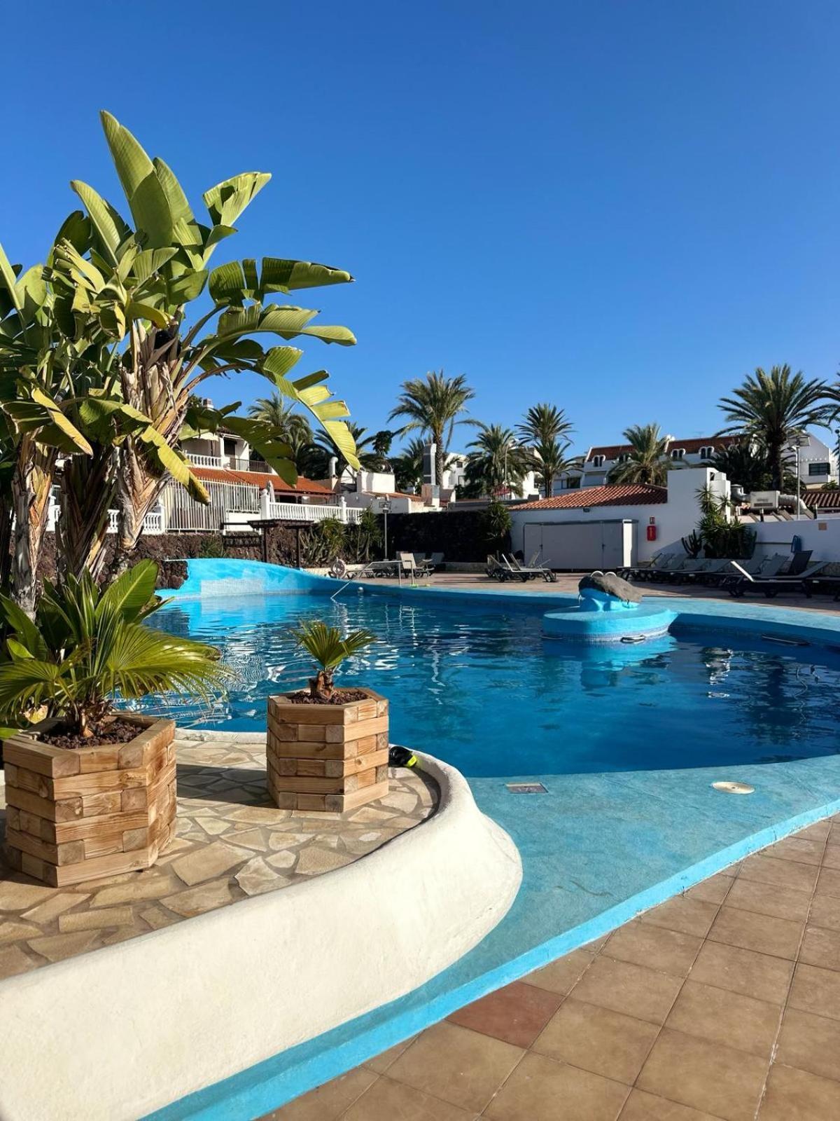 Sunny Sea View Apartment Center Of Las Americas Playa de las Americas  Luaran gambar