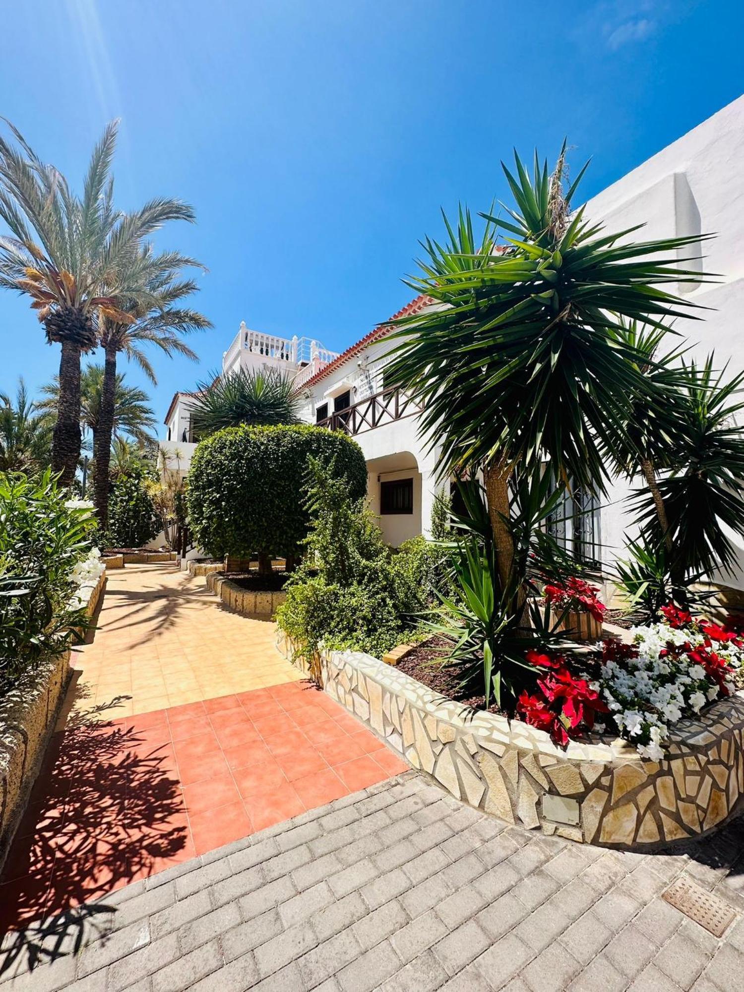 Sunny Sea View Apartment Center Of Las Americas Playa de las Americas  Luaran gambar
